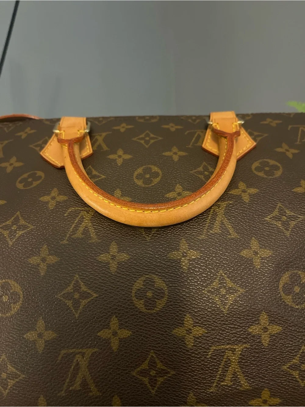 Louis Vuitton iconic louis